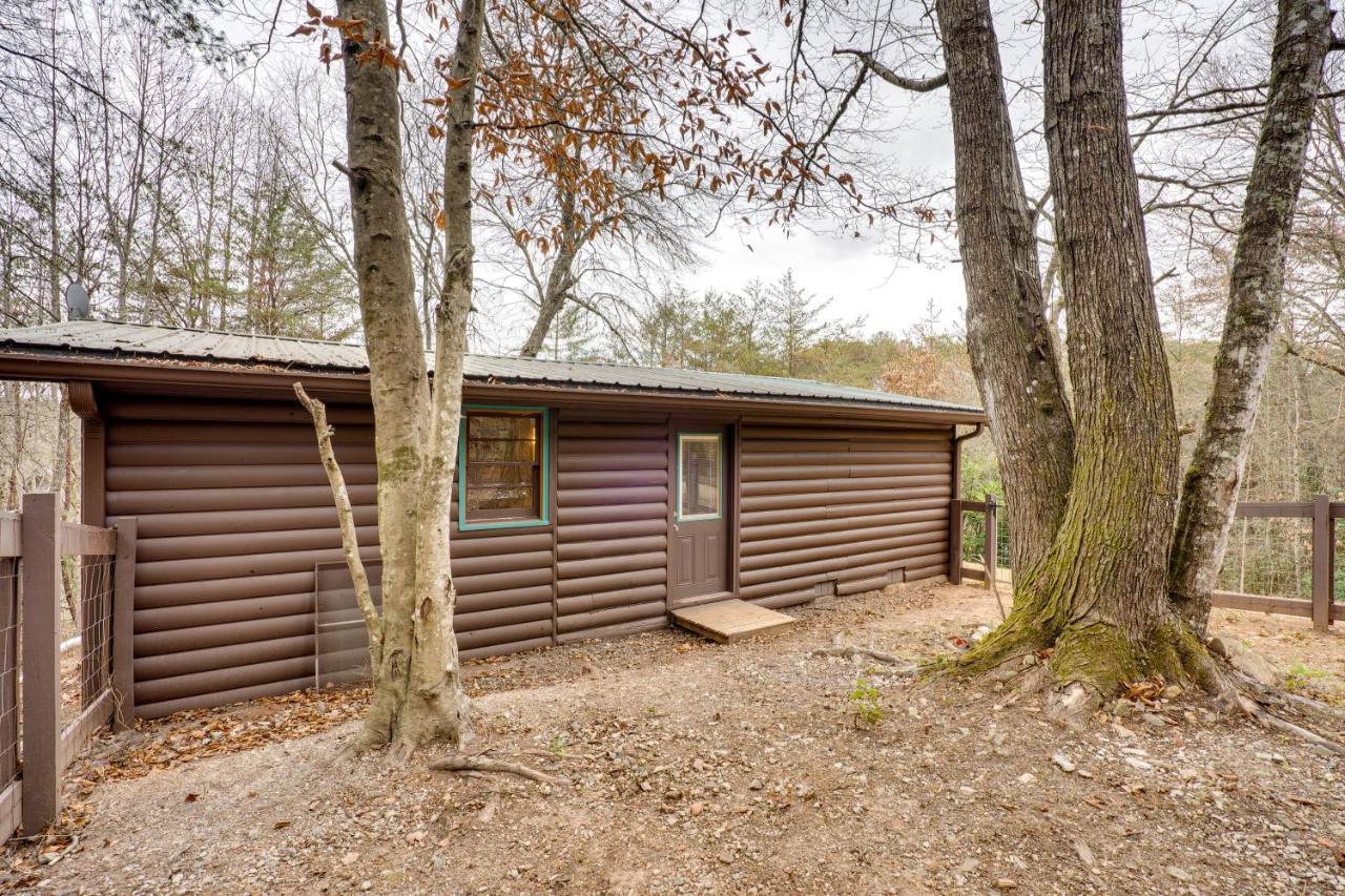 Peaceful Warne Cabin Fenced Yard And Screened Porch Brasstown Exterior photo