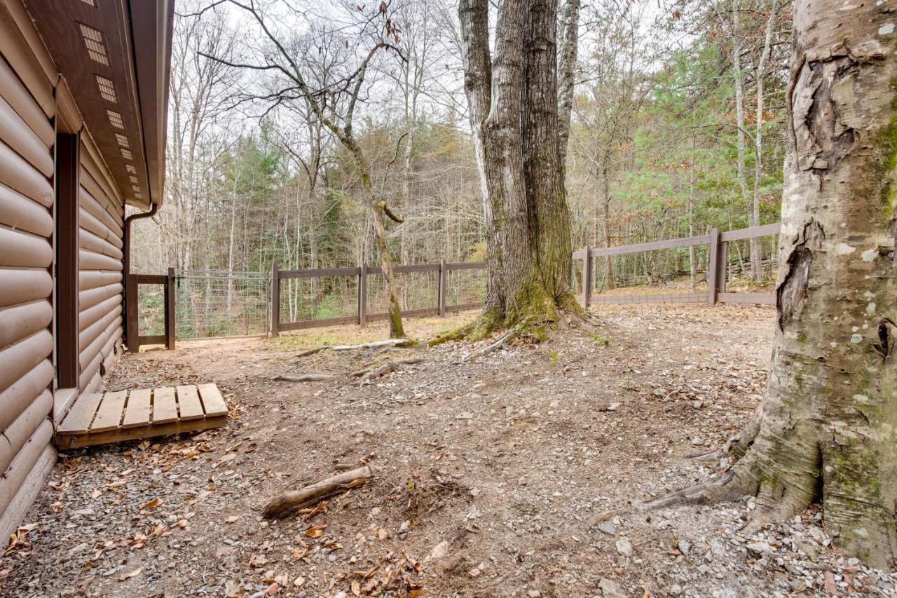 Peaceful Warne Cabin Fenced Yard And Screened Porch Brasstown Exterior photo